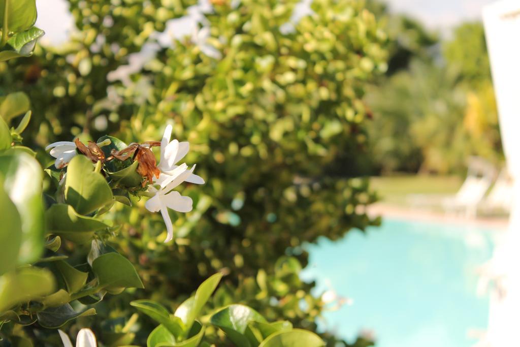 Valle Di Mare Country Resort Fontane Bianche Exteriér fotografie
